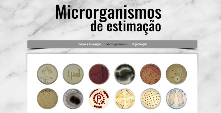 Rádio Regional do Centro: Dia Internacional do Microrganismo assinalado com a exposição Microrganismos de Estimação