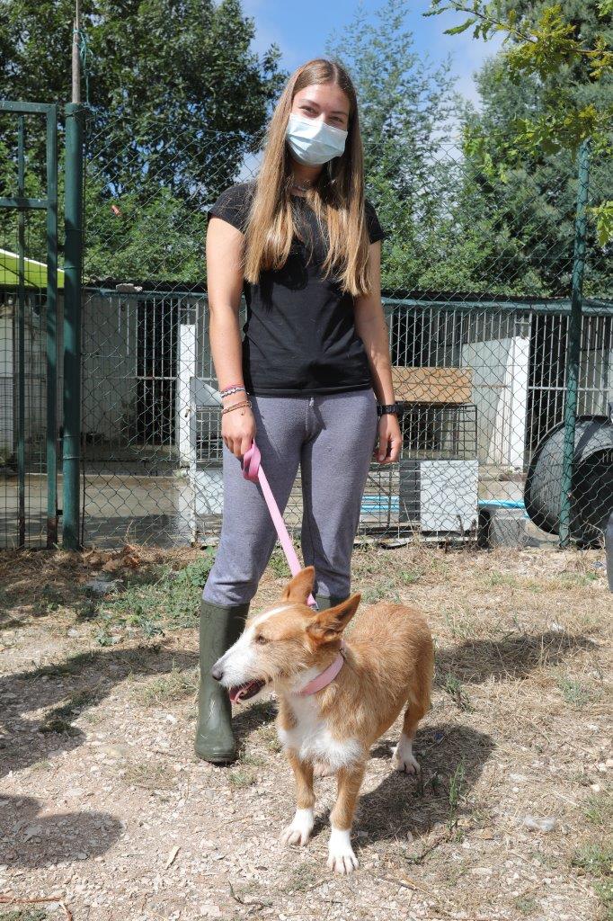 Rádio Regional do Centro: Lousã acolheu projecto acolheu âmbito do bem estar animal