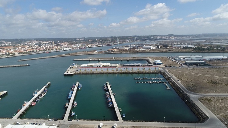 Rádio Regional do Centro: Docapesca vai promover acção de limpeza no porto da Figueira da Foz