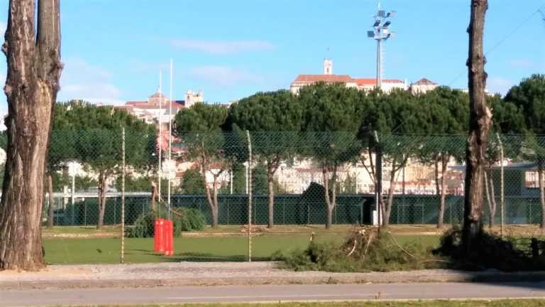 Rádio Regional do Centro: Jogos da Universidade de Coimbra regressam com modalidades de grupo