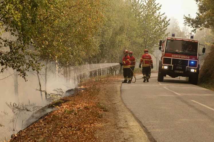 Rádio Regional do Centro: Arganil prepara resistência aos incêndios com propostas da Universidade de Harvard