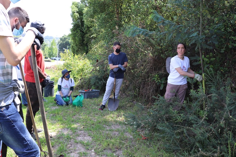 Rádio Regional do Centro: Docente da ESAC é uma das cientistas seleccionadas para o SoapBox Science Lisbon