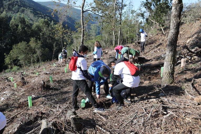 Rádio Regional do Centro: Lousã: Voluntariado ambiental regressou à Mata do Sobral