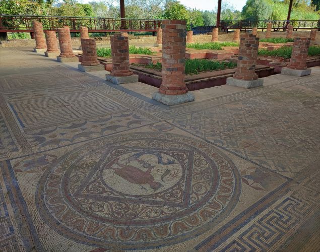 Rádio Regional do Centro: Museu Monográfico de Conimbriga fala sobre Campo Arqueológico para alunos de Erasmus