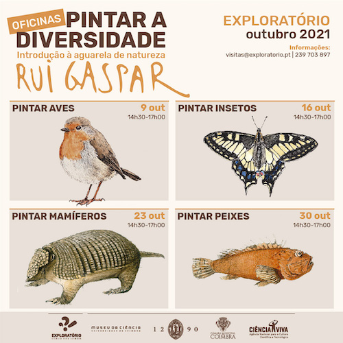 Rádio Regional do Centro: Oficinas de introdução à aguarela de natureza no Exploratório de Coimbra