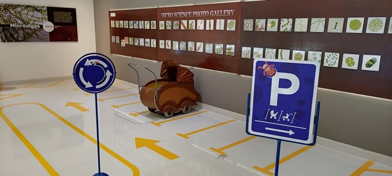 Rádio Regional do Centro: Exploratório estreia filme e inaugura Parque de Carrinhos de Bebé