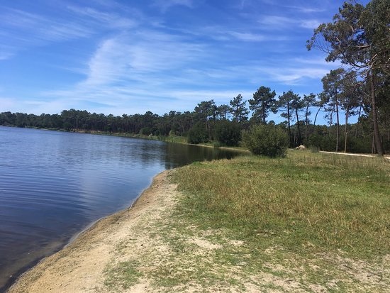 Rádio Regional do Centro: Caminhada junta mistério e terror para promover Lagoa da Vela na Figueira da Foz