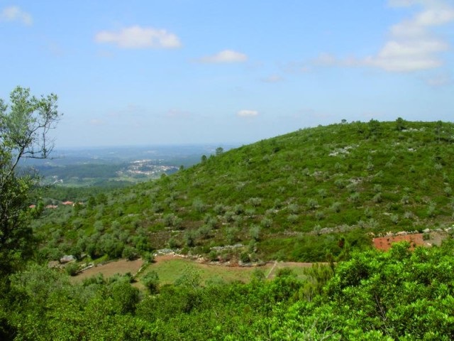 Rádio Regional do Centro: Pombal aprova regulamento para salvaguardar seis aldeias de Sicó