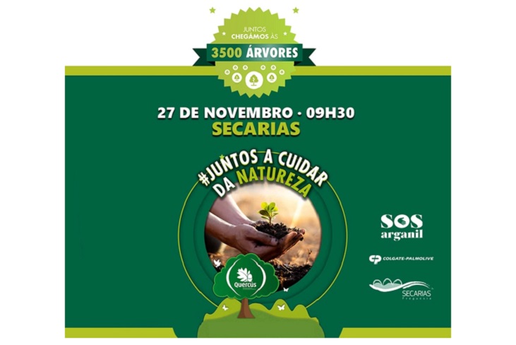 Rádio Regional do Centro: Acção de reflorestação vai plantar árvores em Arganil com a “ajuda” de cogumelos