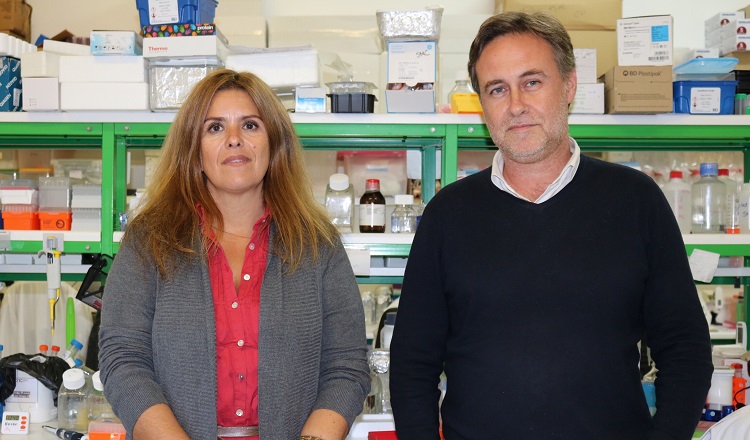 Rádio Regional do Centro: Cientistas de Coimbra dizem que doença de Parkinson pode ter origem no intestino