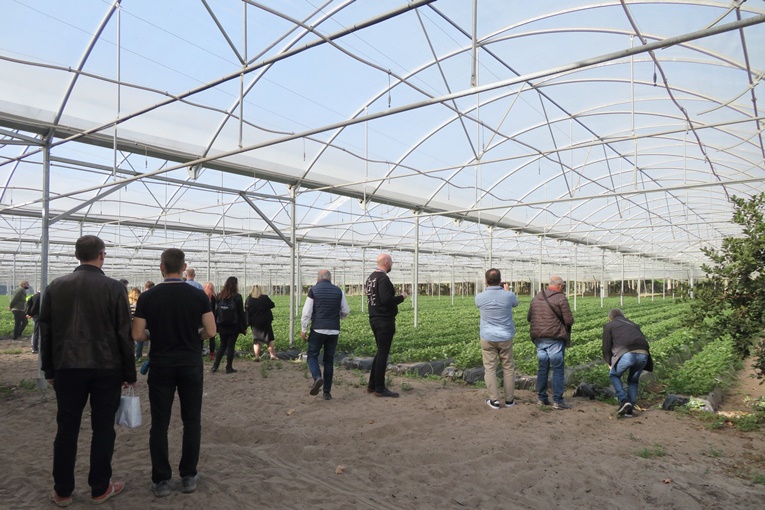 Rádio Regional do Centro: Projecto de cooperação transnacional visitou empresas de Montemor-o-Velho