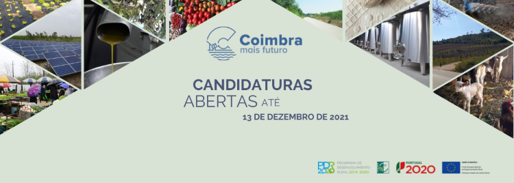 Rádio Regional do Centro: CoimbraMaisFuturo tem candidaturas para financiamento da actividade agrícola