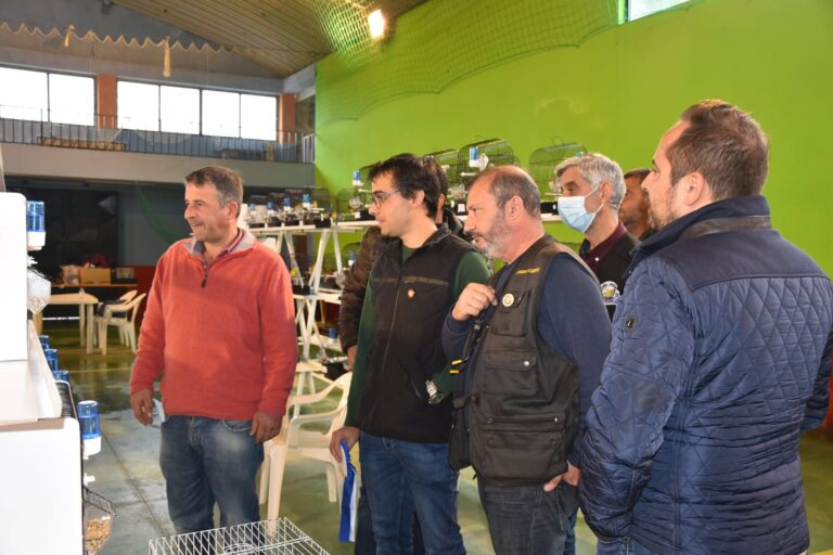 Rádio Regional do Centro: Associação Ornitológica de Coimbra organiza 18.ª Expo Aves