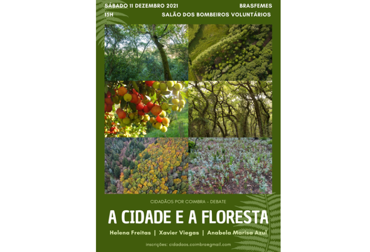 Rádio Regional do Centro: Cidadãos por Coimbra com debate sobre “A Cidade e a Floresta”