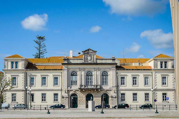 Rádio Regional do Centro: Câmara da Figueira da Foz está a oferecer 250 árvores prontas a plantar