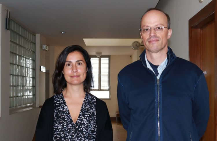 Rádio Regional do Centro: Estudo da UC conclui que a pré-fabricação reduz custos e impactos ambientais