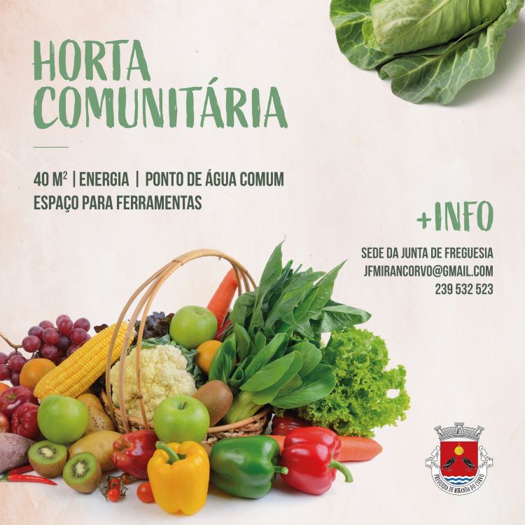 Rádio Regional do Centro: Freguesia de Miranda do Corvo abriu inscrições para lotes na horta comunitária