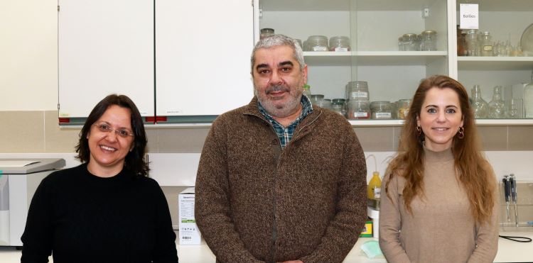 Rádio Regional do Centro: Coimbra: Investigadores criam produtos de controlo do mosquito que transmite doenças