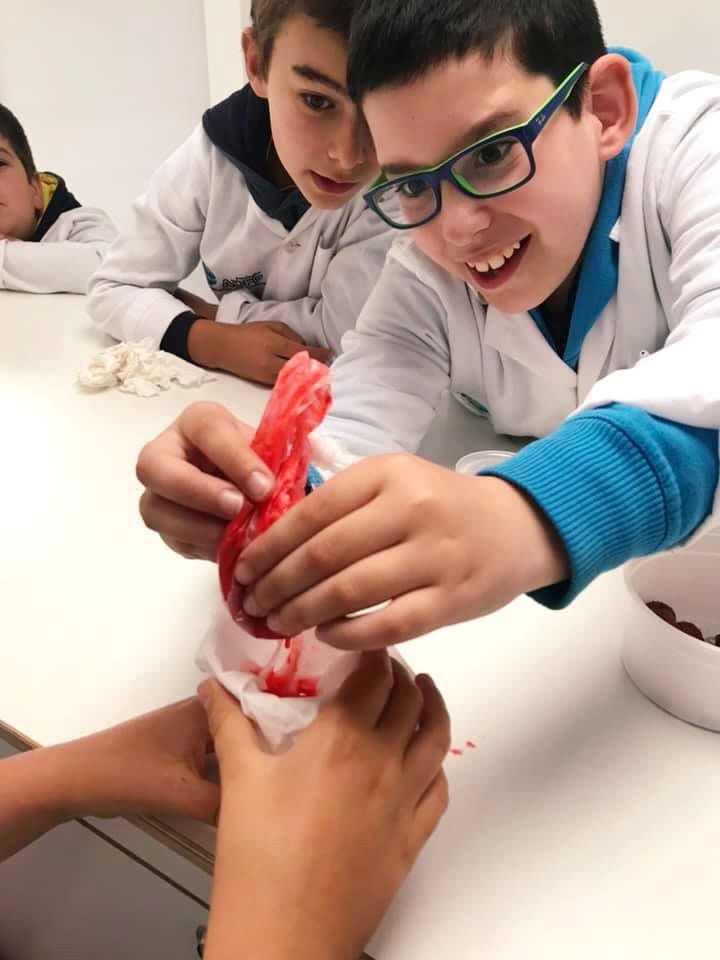 Rádio Regional do Centro: Projecto “Mentes Brilhantes” regressa às escolas de Miranda do Corvo