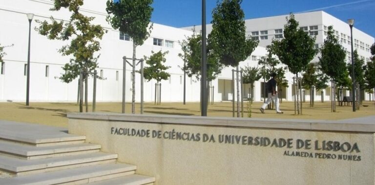 Rádio Regional do Centro: Suspeito de planear acção terrorista em Lisboa fica em prisão preventiva