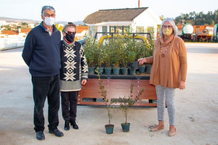 Rádio Regional do Centro: Vila Nova de Poiares: Programa ‘A Nossa Floresta’ decorre até ao final do mês