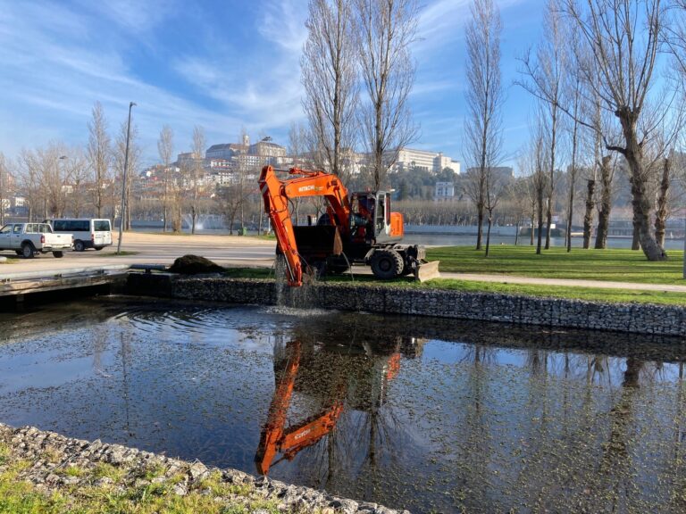 Rádio Regional do Centro: CM Coimbra remove espécie invasora no canal da margem esquerda do Parque Verde do Mondego