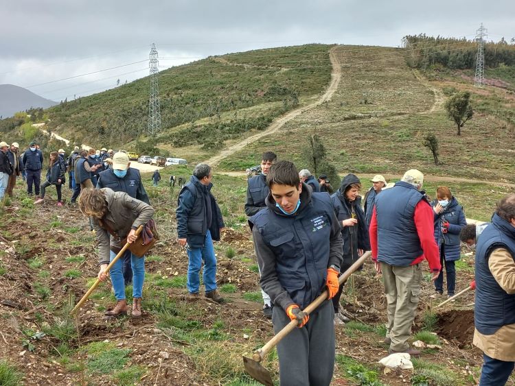 Rádio Regional do Centro: Arganil celebrou Dia da Árvore nas encostas onde cresce a Floresta da Serra do Açor