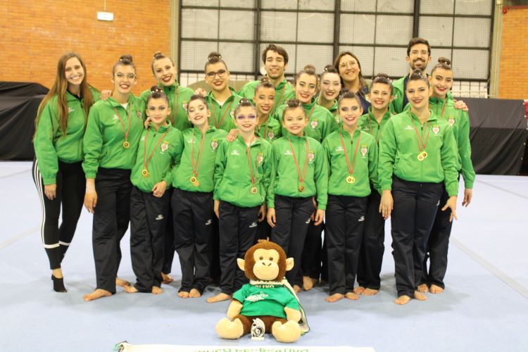 Rádio Regional do Centro: AcroVigor brilha no Campeonato Territorial de Acrobática