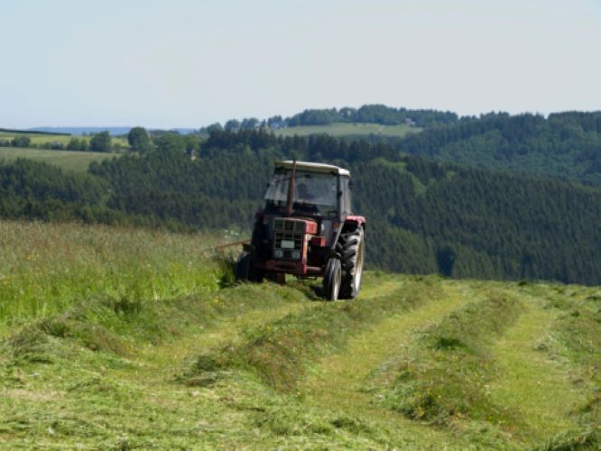 Rádio Regional do Centro: Agricultores do Baixo-Mondego contestam aumentos brutais dos factores de produção