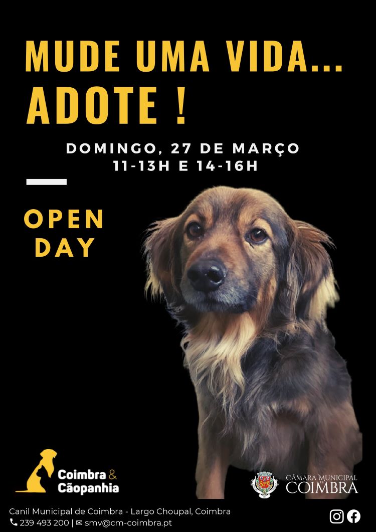 Rádio Regional do Centro: Domingo é “open day” no canil de Coimbra para promover adopção de animais