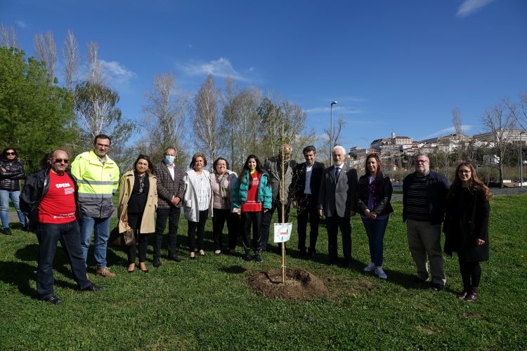 Rádio Regional do Centro: Coimbra alerta para a importância das árvores em Dia Internacional da Floresta