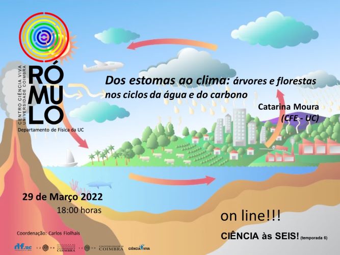 Rádio Regional do Centro: Rómulo apresenta importância de árvores e florestas nos ciclos da água e do carbono