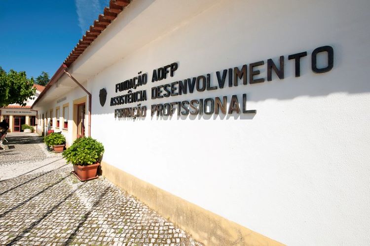 Rádio Regional do Centro: Miranda do Corvo: Veados estragam vinhas da Fundação ADFP