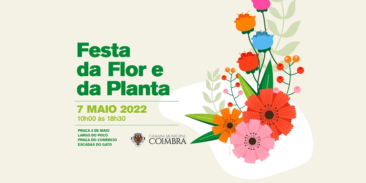 Rádio Regional do Centro: Festa da Flor e da Planta anima a Baixa de Coimbra no próximo sábado