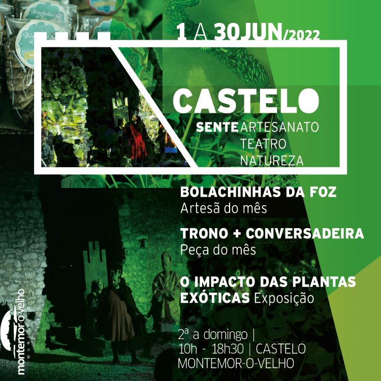 Rádio Regional do Centro: Montemor-o-Velho: Castelo Sente promove natureza, cultura, economia local e teatro