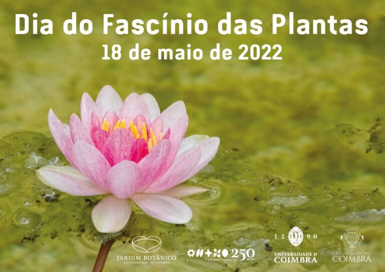 Rádio Regional do Centro: Jardim Botânico celebra Dia Internacional do Fascínio das Plantas