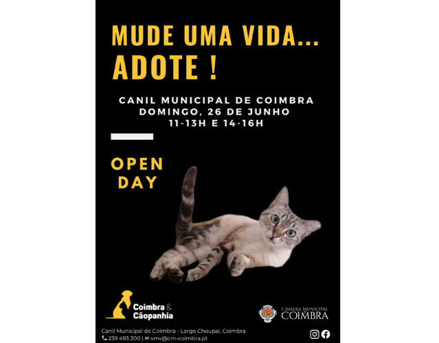 Rádio Regional do Centro: Canil Municipal de Coimbra incentiva à adopção de animais com “dia aberto”