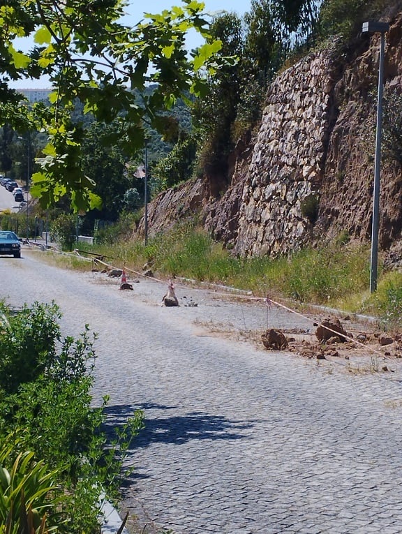 Rádio Regional do Centro: PCP alerta para degradação de estrada no Pediátrico de Coimbra