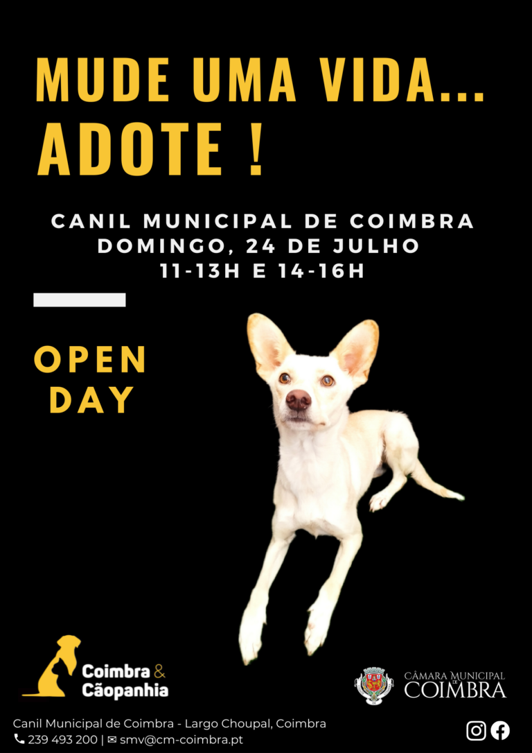 Rádio Regional do Centro: “Open day” regressa ao Canil Municipal de Coimbra no próximo domingo