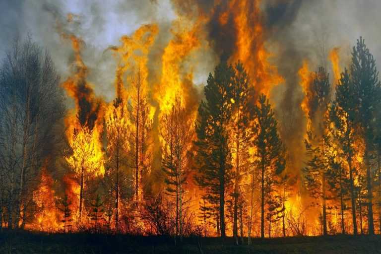 Rádio Regional do Centro: Coimbra é um dos mais de 50 concelhos de nove distritos em risco máximo de incêndio