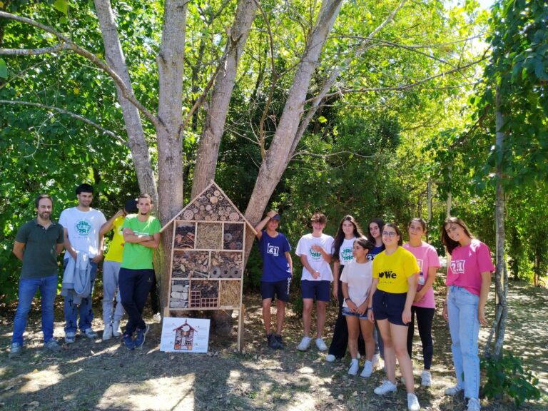 Rádio Regional do Centro: Mealhada: Voluntariado jovem limpa concelho e convida população a participar