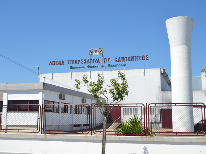 Rádio Regional do Centro: Adega de Cantanhede investe 2,5 milhões de euros na modernização da área produtiva