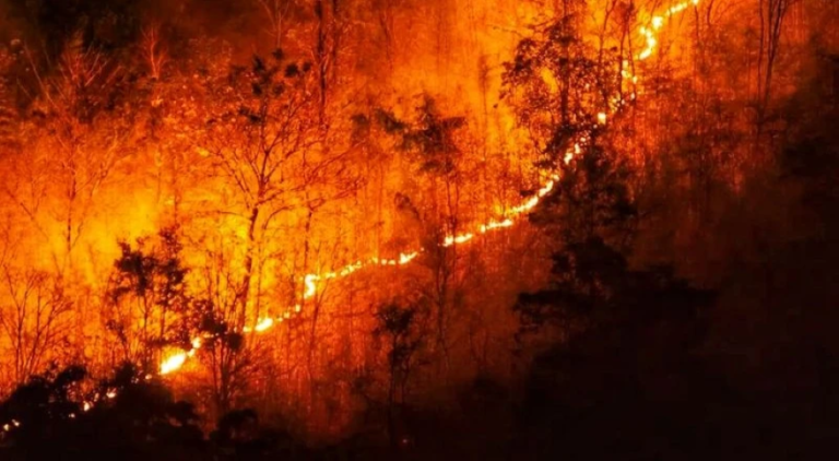 Rádio Regional do Centro: Situação de Alerta em todo o território até terça-feira devido a risco de incêndio