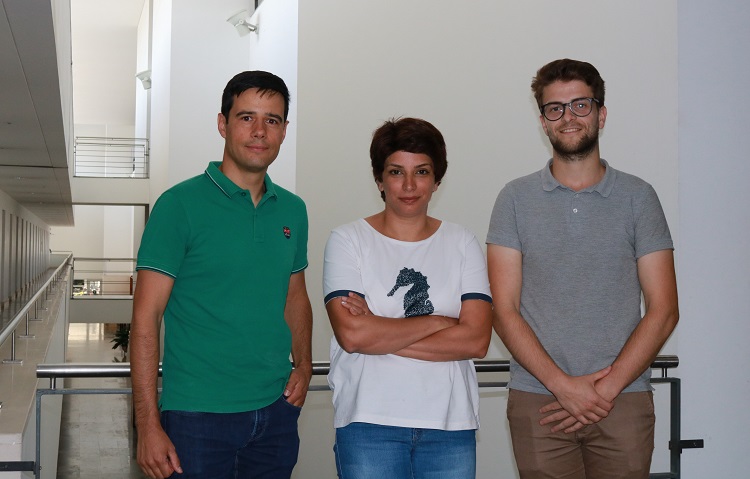 Rádio Regional do Centro: Universidade de Coimbra cria modelo para acelerar descoberta de novos fármacos