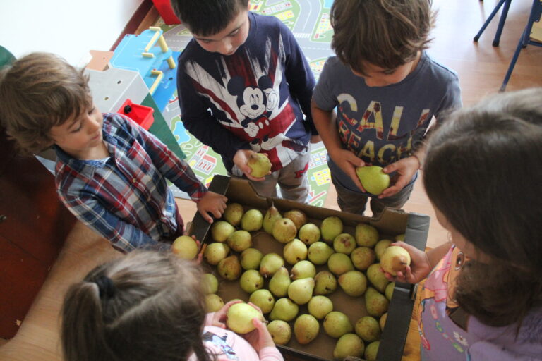 Rádio Regional do Centro: Município de Soure inicia distribuição de fruta com Programa Regime de Fruta Escolar