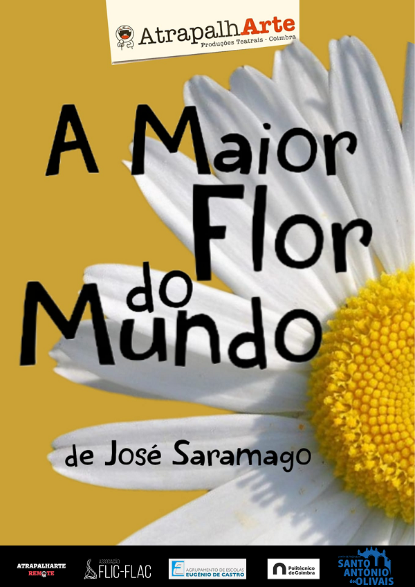 Rádio Regional do Centro: Coimbra: “A Maior Flor do Mundo” para ver em Santo António dos Olivais