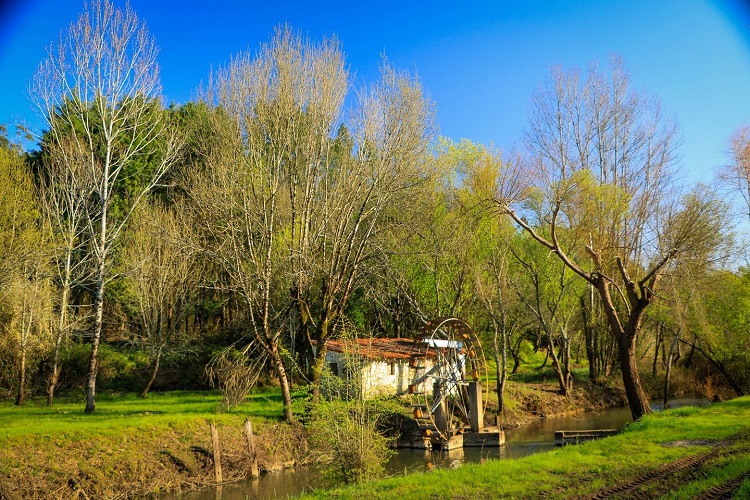 Rádio Regional do Centro: Câmara de Coimbra preside à comissão da Reserva Natural do Paul de Arzila