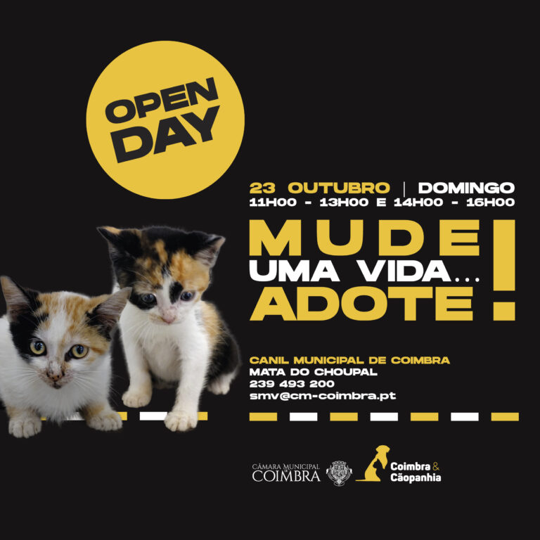 Rádio Regional do Centro: Domingo é dia de “Open Day” no Canil Municipal de Coimbra
