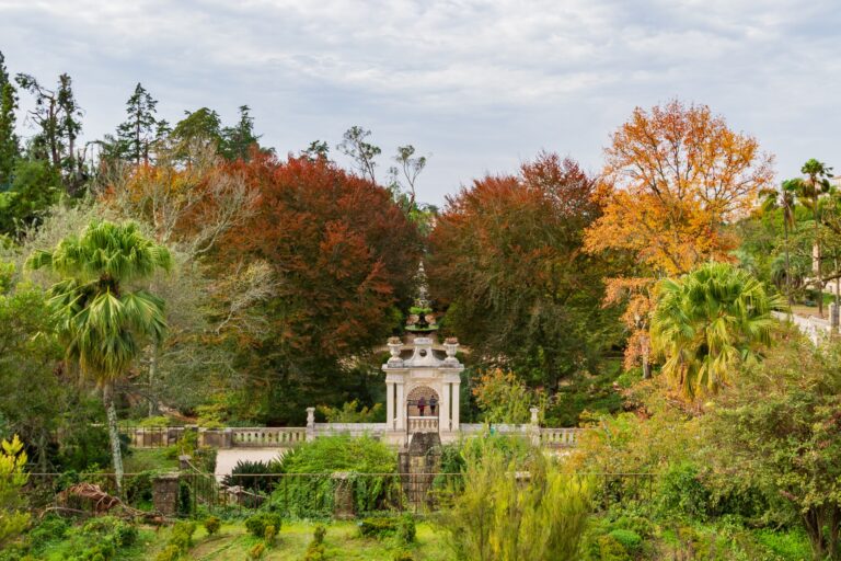 Rádio Regional do Centro: Desenhos inéditos do Jardim Botânico de Coimbra revelados em catálogo