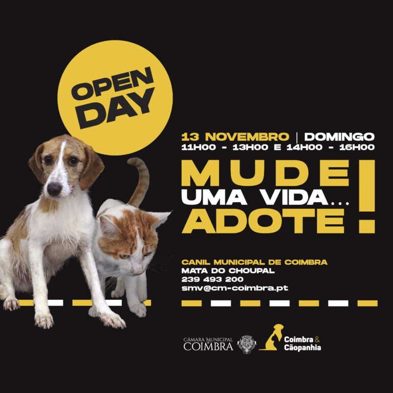 Rádio Regional do Centro: Domingo é dia de “Open Day” no Canil Municipal de Coimbra